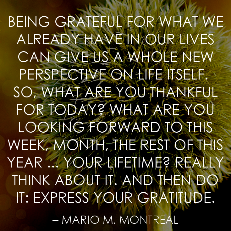 acute myeloid leukemia