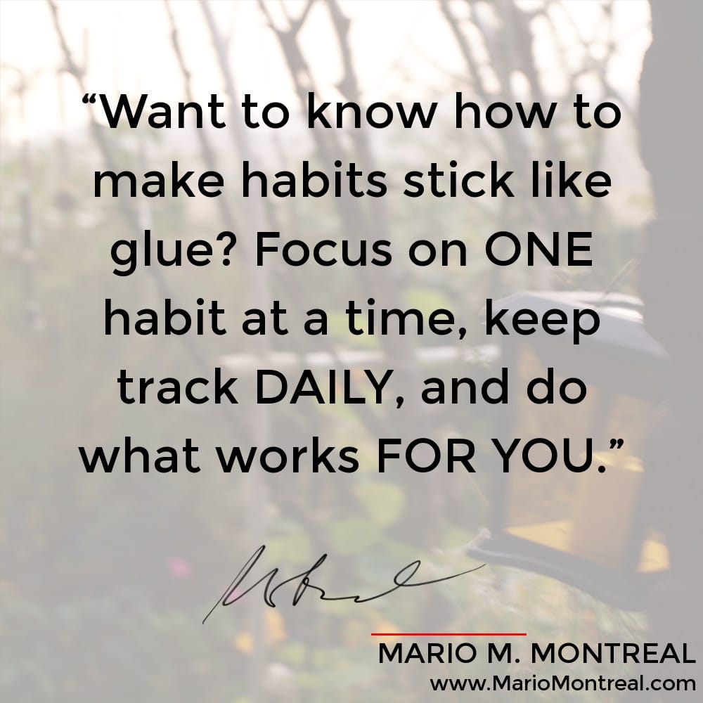 Make Habits Stick