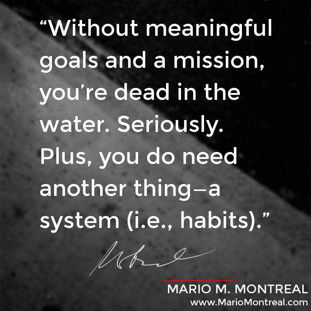 Meaningful Goals, Mission, Habits