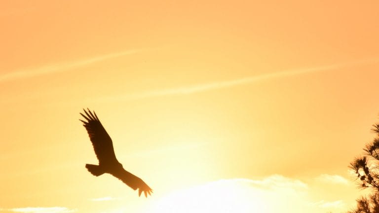 Crime We Commit Against Ourselves