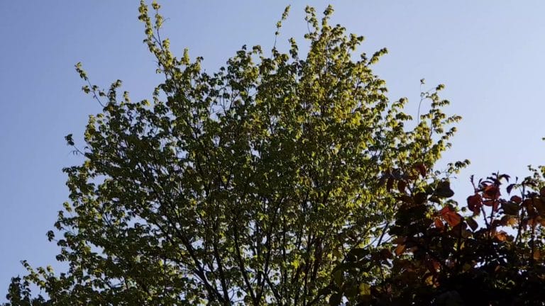 Improving your self-worth by taking good care of yourself (duh!)