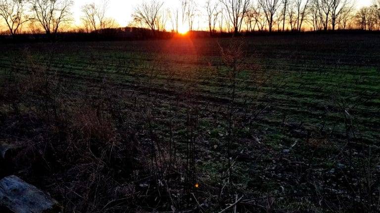 ON MOTIVATIONAL SPEECHES, THE MEANING OF LIFE & WHAT KEEPS YOU MOTIVATED